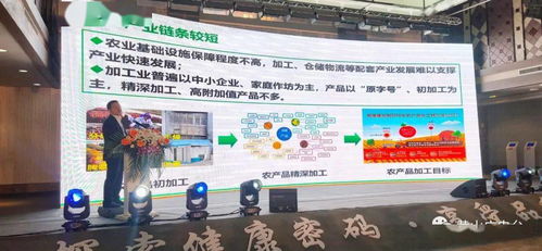2020中國黑色食品產業發展黟縣峰會開幕 北京軟件開發